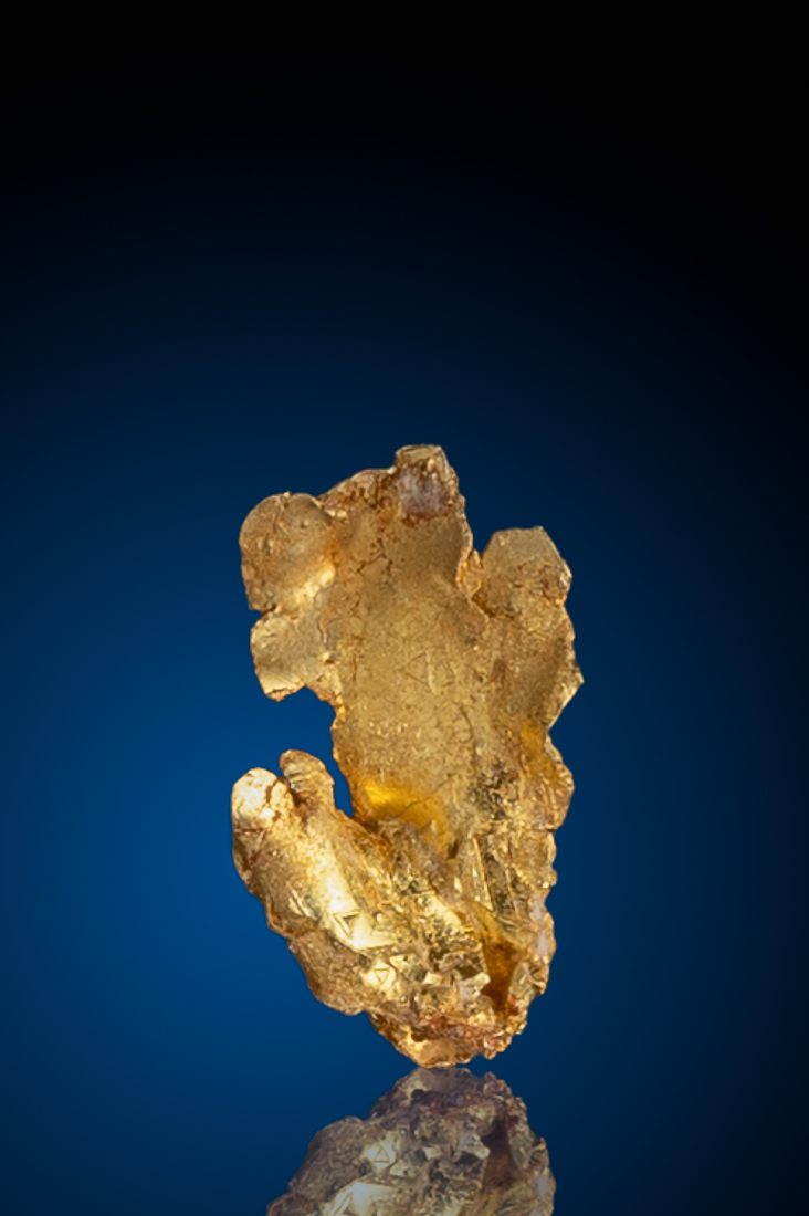 (image for) Layered Leaf Gold from Olinghouse Gold Mine, NV - 0.26 grams